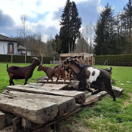 Gites La Ferme Samson * Wibrin